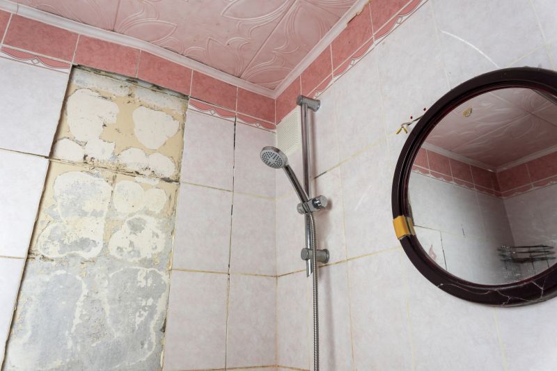 Restored Shower Tiles