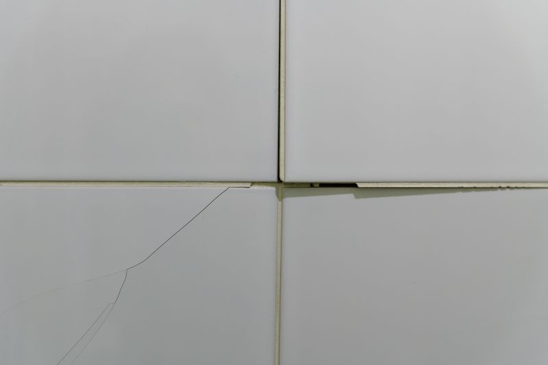 Products For Ceramic Tile Repairs in use